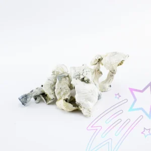 Buy Albino Avery mushroom online in USA